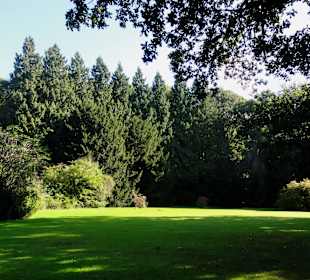 Herbstspaziergang durch Knoops Park