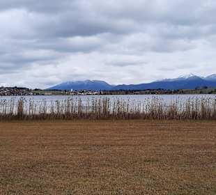 Hopfensee
