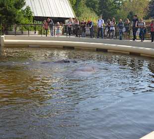 Zoo