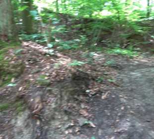 Wanderweg - Alter Steinbruch Pfaffenberg Runde