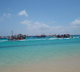 Bootsregatta zum Hafenfest