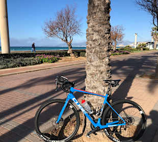 Strandpromenade Playa/Platja de Palma