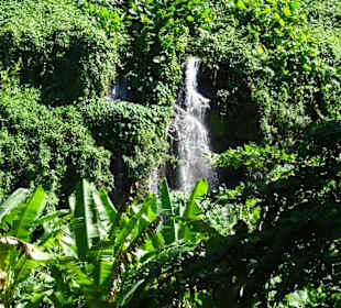 Die Wasserfälle der Anse des Cascades