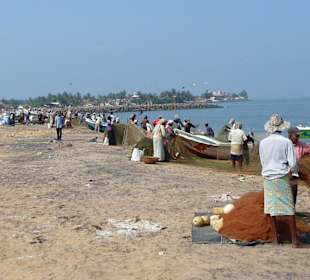 Strand beim Fischmarkt