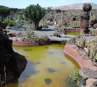 Jardin de Cactus -a la Cäsar Manrique