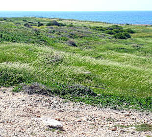 Archäologischer Park Kato Pafos