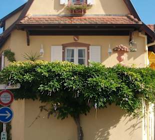 Altstadt Wissembourg