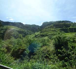 Hochland von Sri Lanka