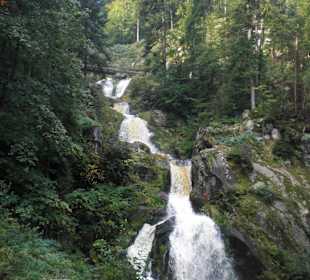 Triberger Wasserfall