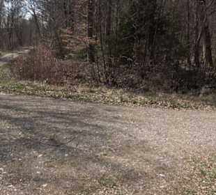 Geologischer Lehrpfad Kirnbachtal