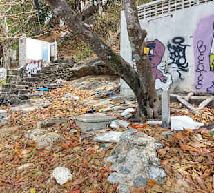 Ao Sane Februar / März 2023