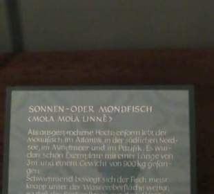 Naturhistorisches Museum