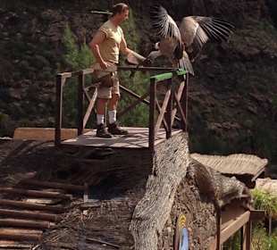 Ruhiger und erholsamer Familienurlaub