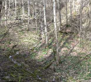 Wasserfallsteig