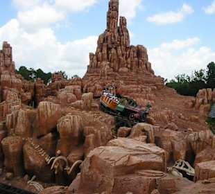 Adventure Land - Disney World