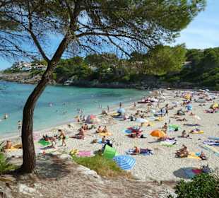 Strandbucht Font de sa Cala