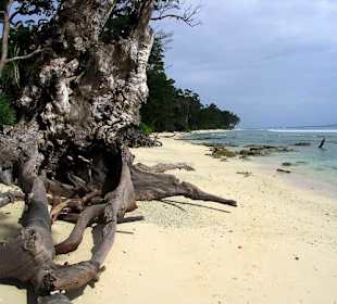 Plaża na Wyspie Neil