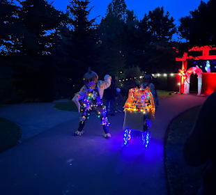 Mondo Verde Halloween