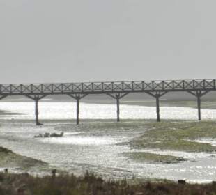 Holzbrücke über Lagune im Natural Park Ria Formosa