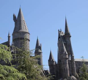 Harry Potter wird aufgebaut!