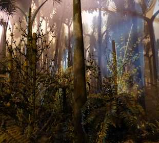 Karbon-Der Sumpfwald