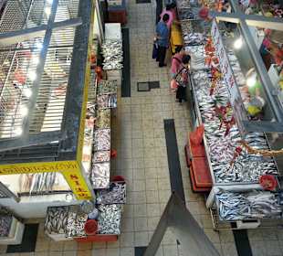 Blick von oben auf die Fischabteilung