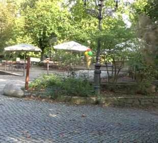 Zoologischer Garten