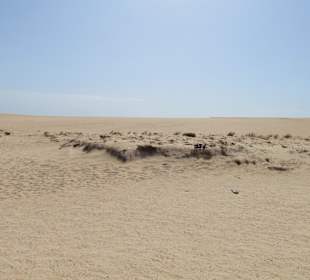 Dünenlandschaft bei Corralejo