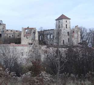 Ruiny zamku w Tenczynku