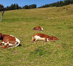Wandern Saalbach-Hinterglemm