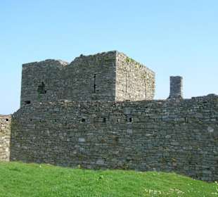 Il forte