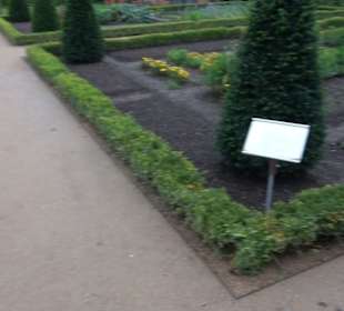 Englischer Garten