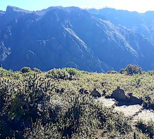 Colca-Canyon