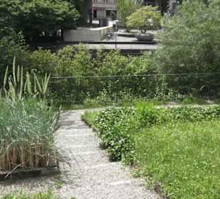 Alter botanischer Garten