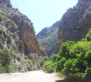 Narrow road for hiking 