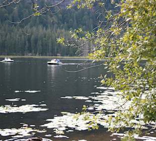 Grosser Arbersee