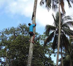 Im Garten des Museums