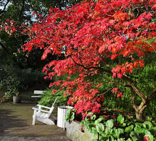 Rundgang durch das herbstliche "Planten un Blomen"
