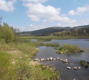 Rundwanderweg Perlsee