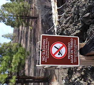 Rodeln verboten! .. Lag ja eh kein Schnee..
