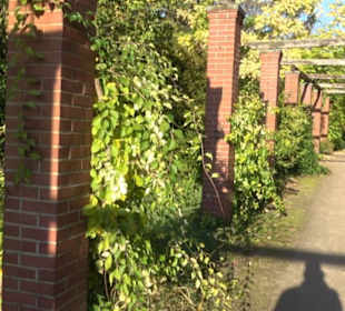 Botanischer Garten