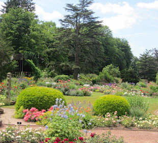 Rosengarten Zweibrücken
