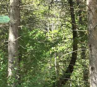 Premiumwanderweg Hochgehschätzt