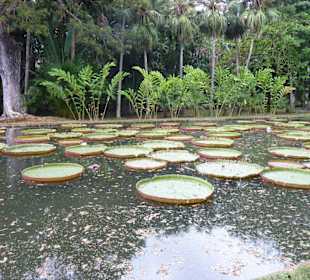 Botanischer Garten