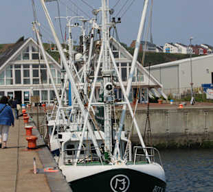 Fischkutter im Südhafen