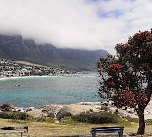 Stadtrundfahrt Kapstadt