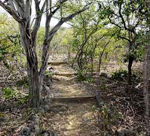 Beginn des Seru Mateo Trails am Parkplatz