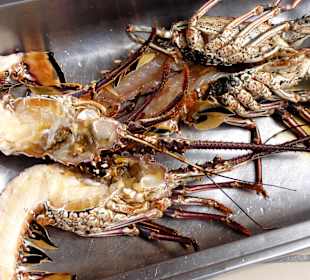 Languste auf dem Weg zum Grill...