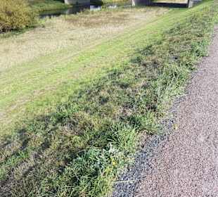 Auf einem Deichteilstück