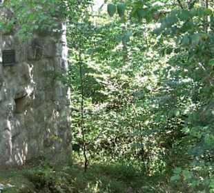 Burgruine Blankenstein